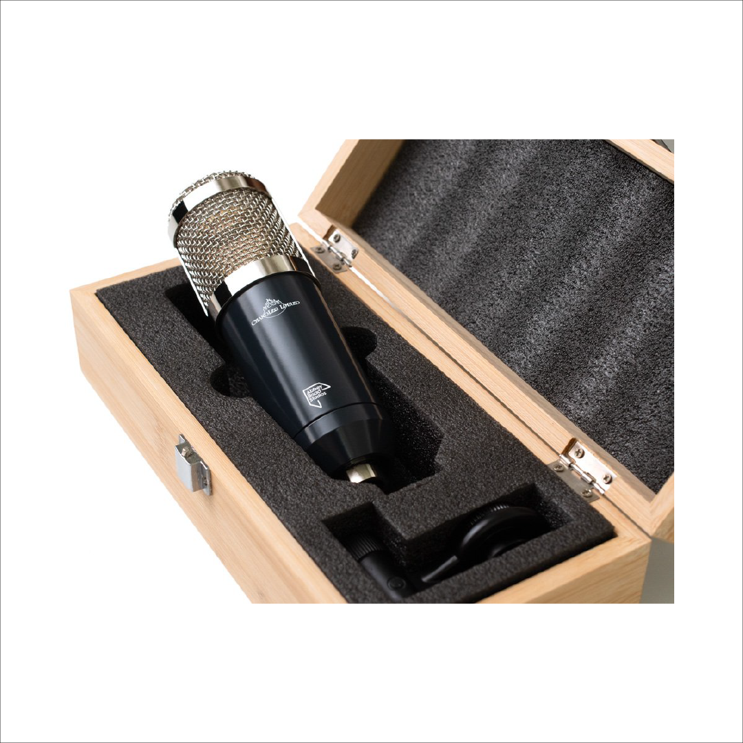 Tg Microphone Type L - Imagen 5