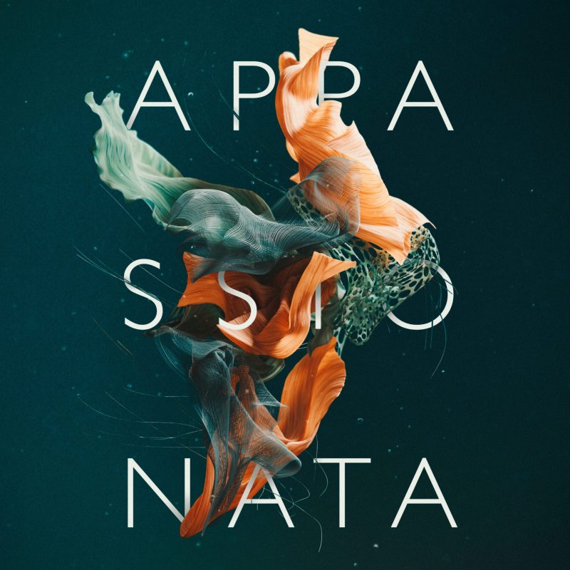 Spitfire Appassionata Strings